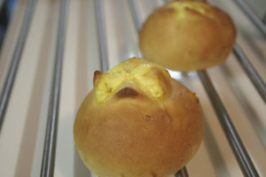 �R�[���p��