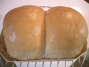 B-1�F�R�^�H�p��