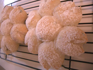 M-2�F������t�����X