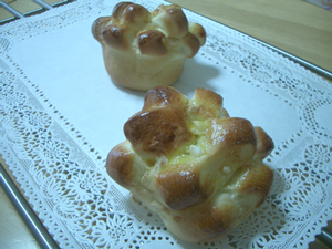 2�F�V���K�[�}�E���e��